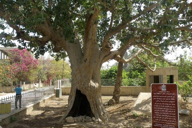 Full Day Bethlehem and Jericho Tour From Jerusalem - Participant Requirements