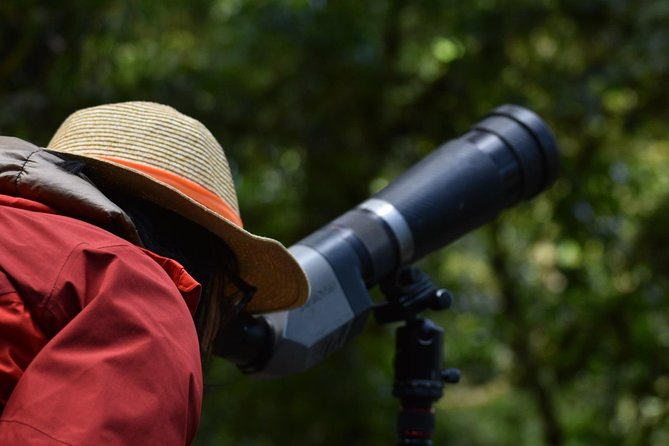 Full Day Birdwatching Experience - Guided by an Exceptional Guide