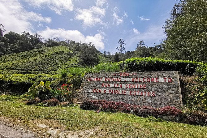 Full-Day Cameron Highlands Day Trip From Kuala Lumpur - Traveler Feedback and Insights