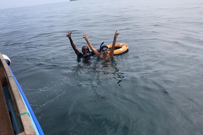 Full Day Dolphin Watching With Snorkeling in Wasini - Marine Life Highlights