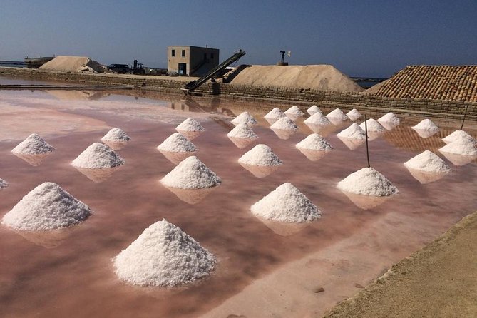 Full Day Exclusive Excursion to Segesta, Erice & Trapani Salt Flats From Palermo - Company Policies and Cancellation Terms