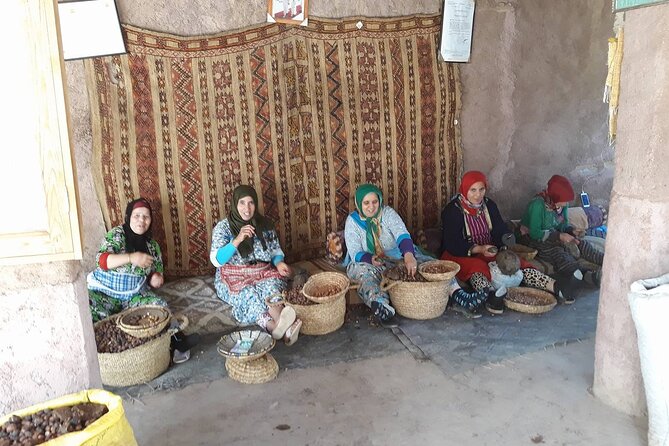 Full-Day Excursion to Ourika From Marrakech - Comfortable Transportation and Pickup Service