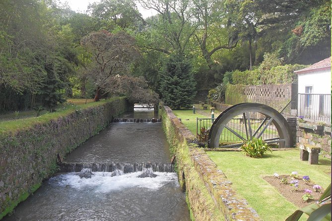 Full Day Guided Tour to Furnas With Lunch Included - Traveler Ratings and Feedback