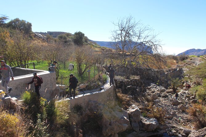 Full-Day Guided Tour to Jebel Akhdar - Highlights of the Journey