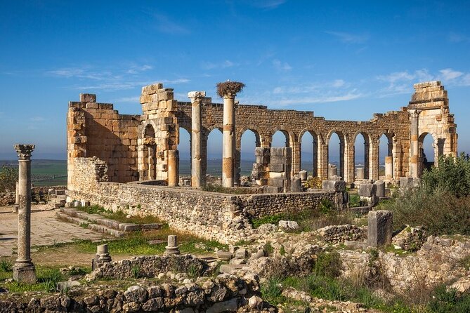 Full-day Historical Meknes Volubilis and Moulay Idriss Tour - Pickup and Meeting Details