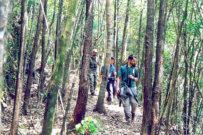 Full Day: Hoi an - Bach Ma National Park - Reviews and Visitor Feedback