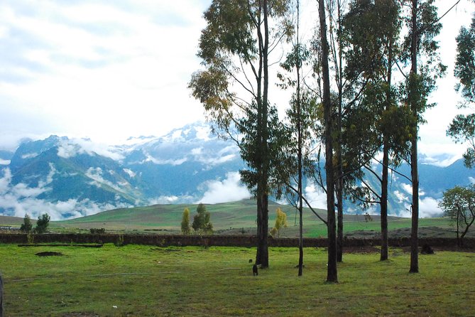 Full-Day in Maras, Moray and Chincheros Including Lunch - Exploring Chincheros