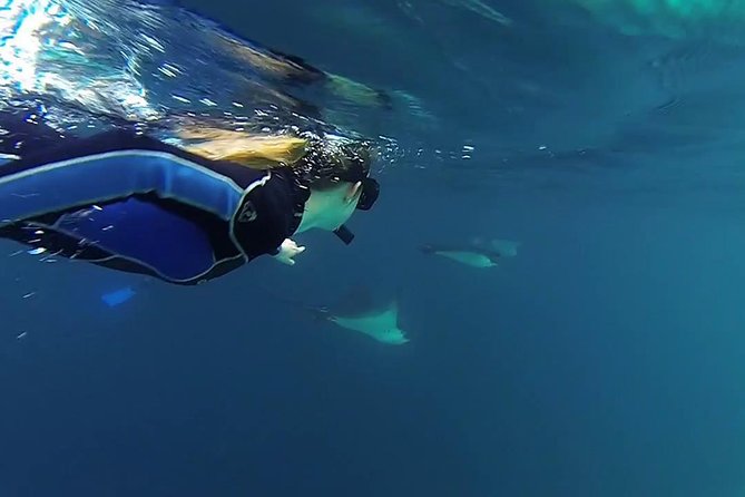 Full Day Kicker Rock - Meeting and Pickup
