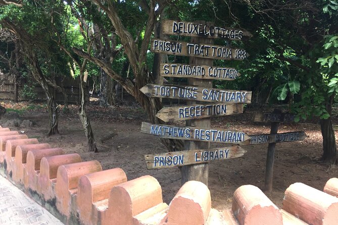 Full-Day Prison Island, Nakupenda and Stone Town Tour With Lunch Buffet - Included Amenities and Services