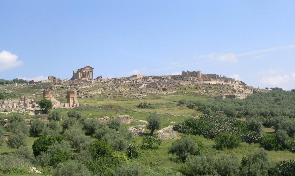 Full-Day Private Excursion to Bulla Regia - Dougga: Roman Ruins