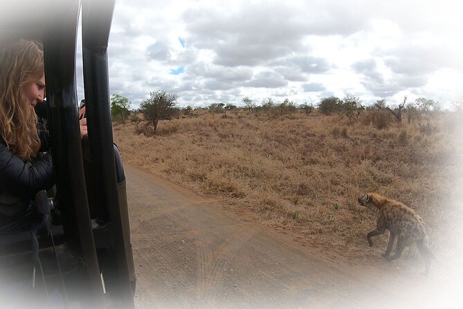 Full Day Private Kruger Park Safari - Pickup Locations and Times