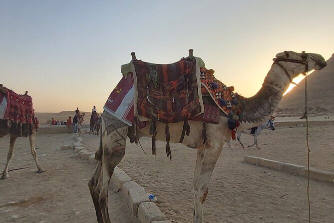 Full-Day Private Tour of Cairo and Giza With Lunch - Accessibility and Participation