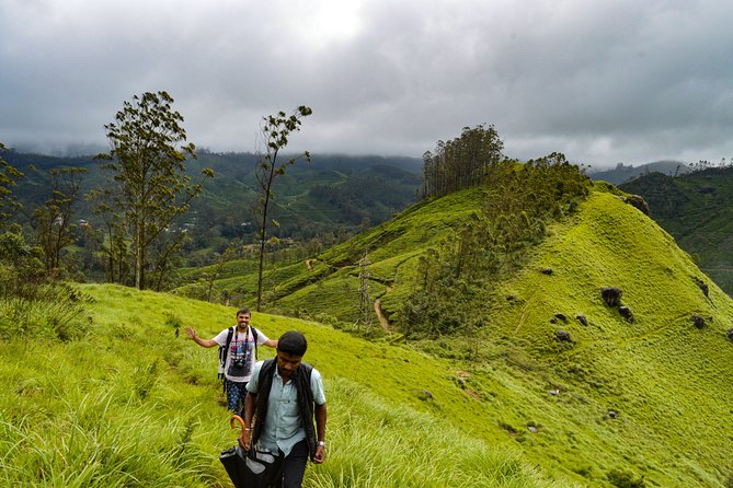 Full-Day Private Tour to Munnar From Kochi With Lunch - Tips for Your Tour
