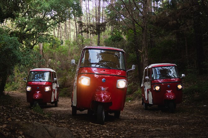 Full Day Private Tuk-Tuk Tour Review - Inclusions and Accessibility