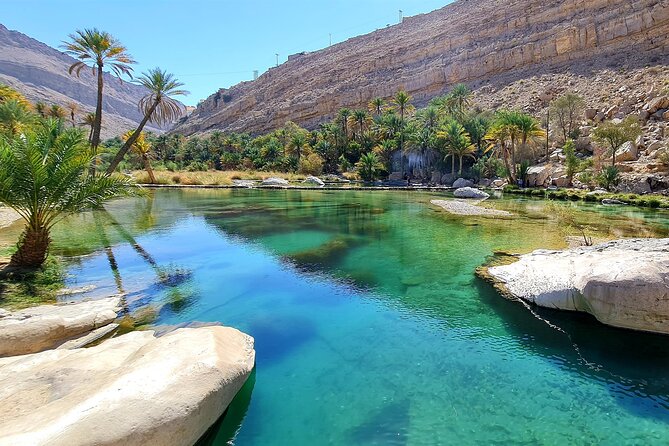 Full-Day Private Wahiba Sands Desert and Wadi Bani Khalid Tour - Inclusions and Exclusions