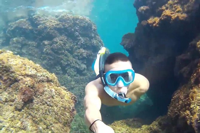 Full Day Rosario Island, Cholon, Agua Azul, Baru and Free Snorkeling - Choosing the Right Tour