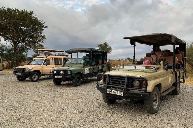 Full-Day Safari Tour From Mikumi National Park of Zanzibar - Booking and Cancellation Policy