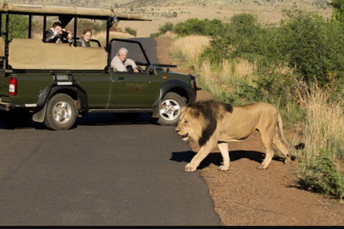 Full Day Safari Tour of Pilanesberg National Park, Open Jeep Experience - Departure Options