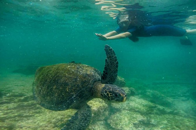 Full Day Santa Fe & Playa Escondida Snorkeling Tour - Feedback and Suggestions