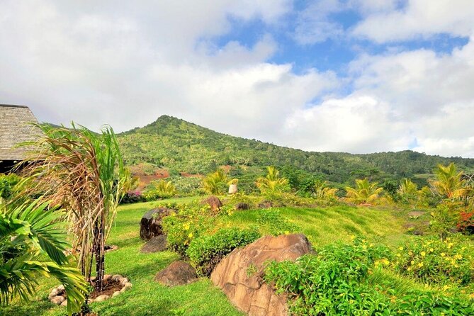 Full-Day Scenic South West Tour, ALL INCLUSIVE Day Trip, Private SUV Car, Guide - Engaging Local Guides