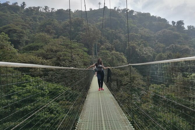 Full Day to Monteverde From San Jose With Canopy and Reptil Amphibians Watching - Reviews From Previous Guests