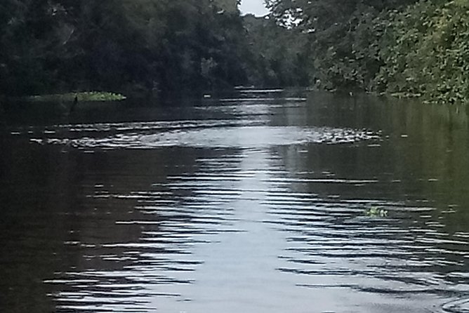 Full Day Tour Amazon River 2020 - Itinerary and Activities
