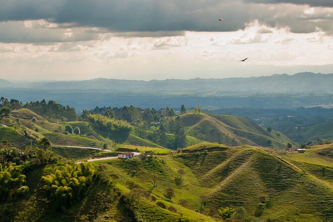 Full Day Tour of Cocora Valley, Salento, and Coffee Farm Tour (from Pereira) - Meeting Points and Transportation