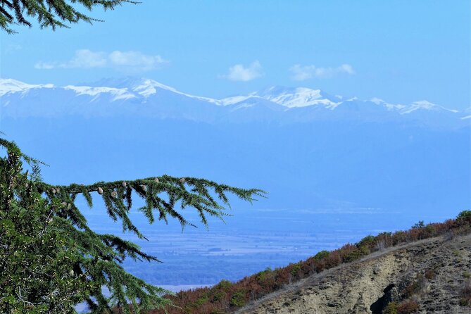 Full Day Tour Sighnaghi and Bodbe Including Wine Tasting - Health and Accessibility