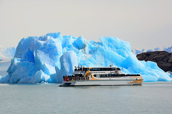 Full-Day Tour Through Glaciers Upsala and Spegazzini - Customer Feedback and Reviews