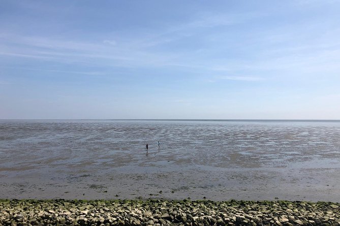 Full Day Tour to Texel - Friesian Islands - From Amsterdam - Additional Information