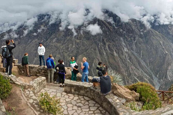 Full Day Tour to the Colca Canyon - Reviews and Ratings