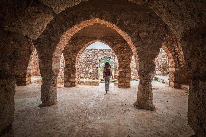 Full Day Umm Qais, Ajloun & Jerash - Accessibility Features
