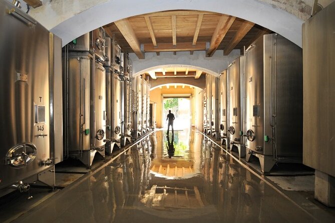 Full-Day Wine Tour Around Luberon From Marseille - Guide Expertise and Hospitality