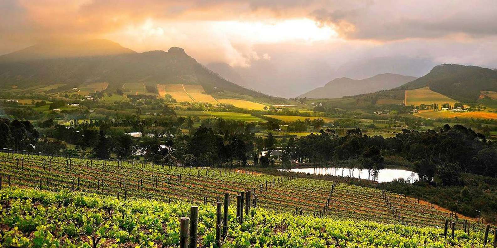 Full Day Winelands Tour - Discovering Franschhoek