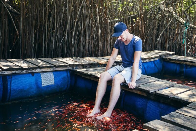 Galle Fort and Fish Massage From Negombo - Participant Information