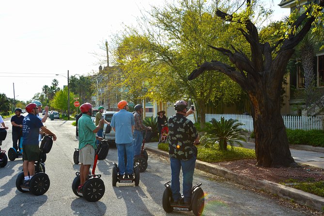 Galveston Tree Carvings Segway Tour - Best Time to Take the Tour