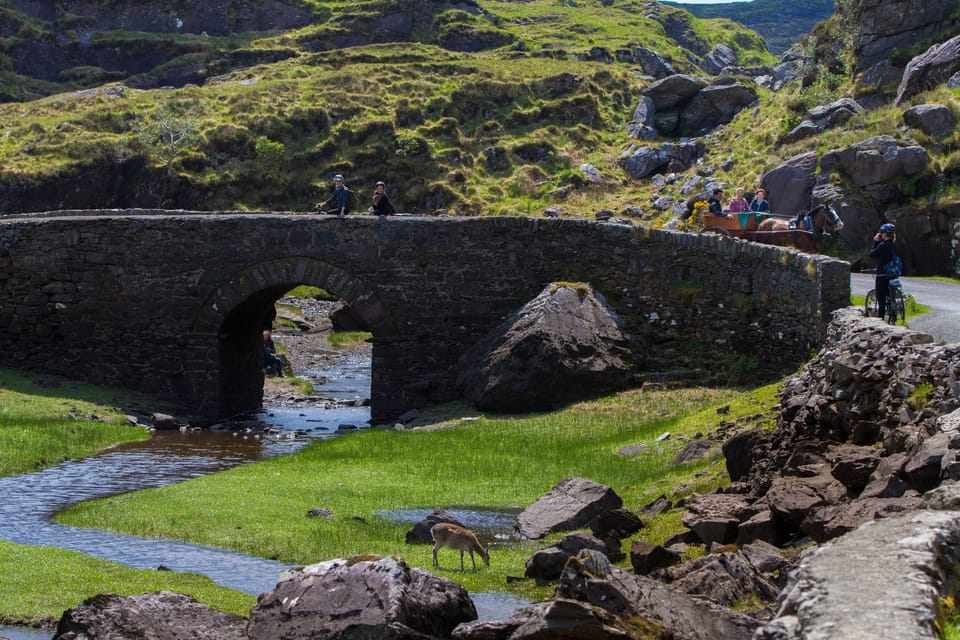 Gap of Dunloe & Lakes of Killlarney Boat Tour - Additional Costs and Options