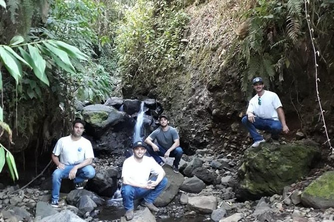 Garden Coffee Lovers Private Tour With Waterfall Option From Medellín - Coffee Plantation Visit and Insights