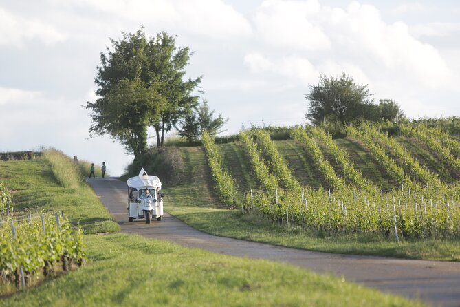 Geneva Panoramic & Tasting Vineyards Tour in an Tuk Tuk - Customer Feedback and Insights