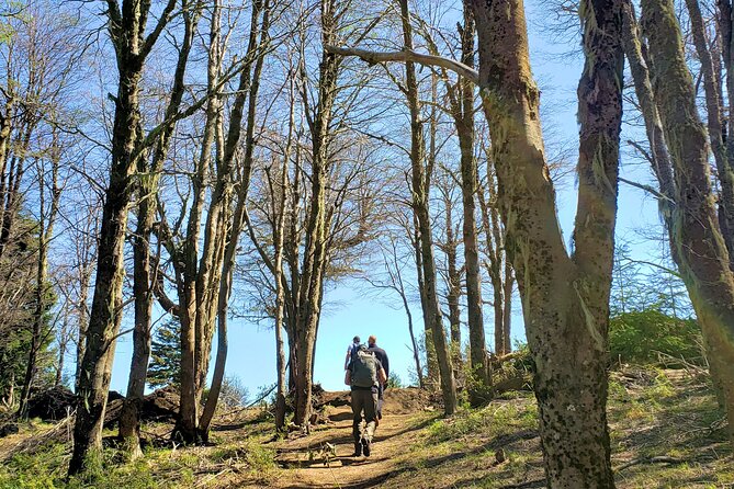 GERMAN TREKKING to BERGHOF - Mountain Stories - Accessibility Considerations