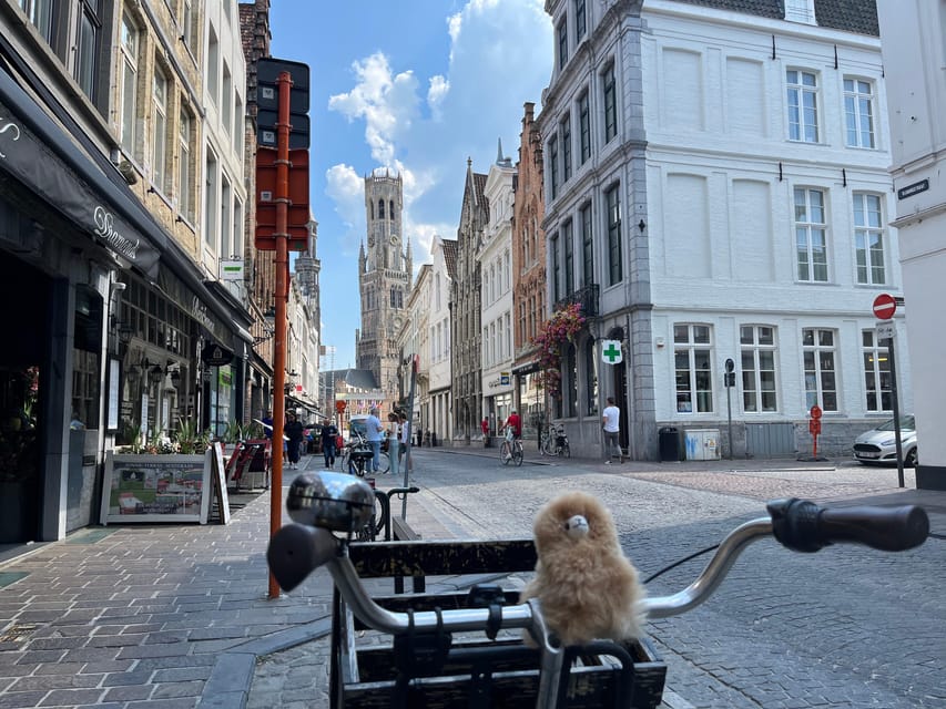 Ghent From Brussels Day Tour - Travel Tips