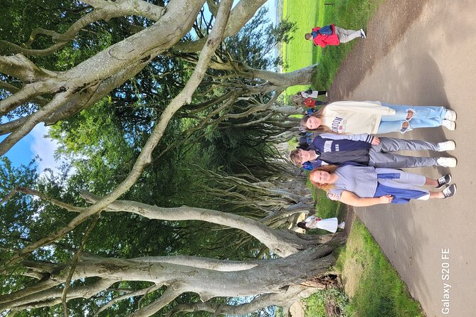 Giants Causeway Private Tour 1 to 7 People - Reviews and Feedback