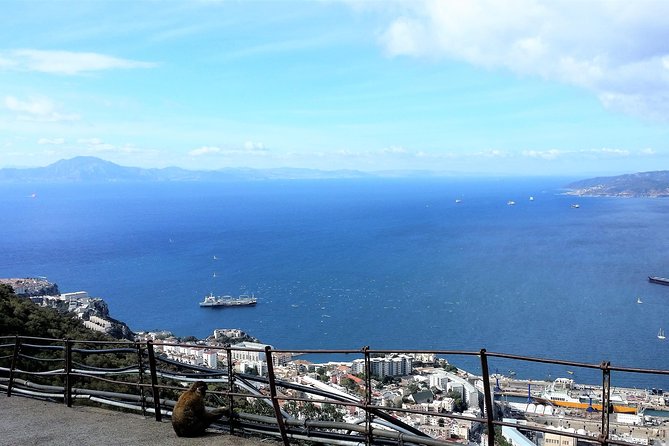 Gibraltar Private Trip From Marbella or Malaga - Customer Feedback Highlights