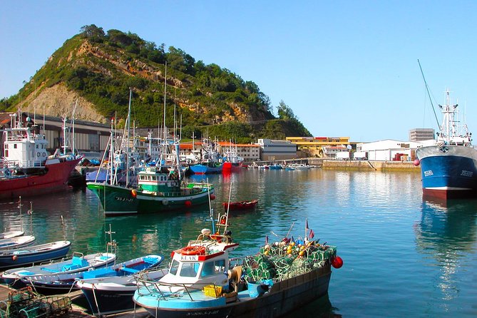 Gipuzkoa Coast Tour With Lunch - Tour Reviews