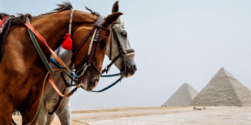 Giza: Arabian Horse Tour Around the Giza Pyramids - Important Information