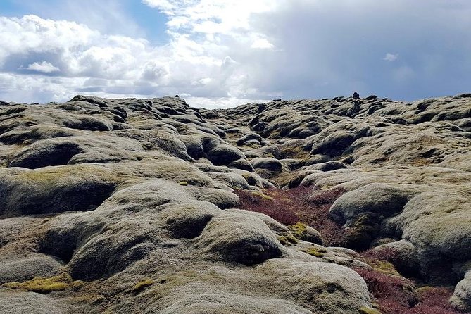 Glacier Lagoon & South Coast. Private Day Tour - Knowledgeable Guide