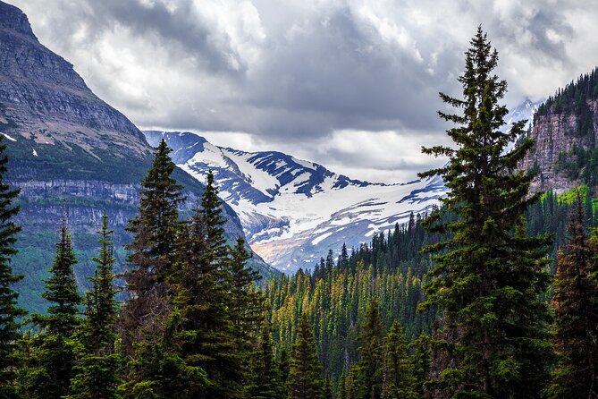 Glacier National Park Self-Guided Driving Audio Tour - Customer Experiences and Feedback