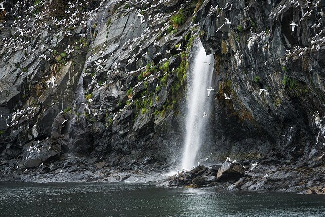Glacier Quest Cruise - Self-Drive From Anchorage, AK - Guided Narration by Forest Service Ranger