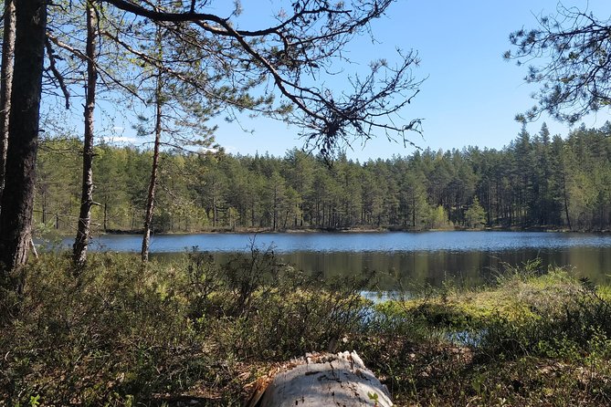 Go North – Private 1 Day Trip to Estonian Nature - Visiting Recreation Areas