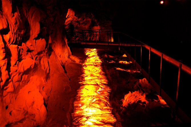 Go North Tour - Madeira Island Excursion - Highlights of the Tour